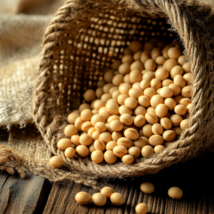 soybean